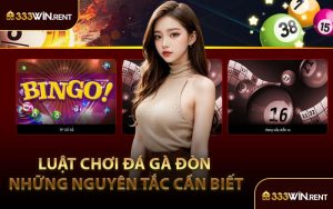Luật Chơi Đá Gà Đòn Những Nguyên Tắc Cần Biết
