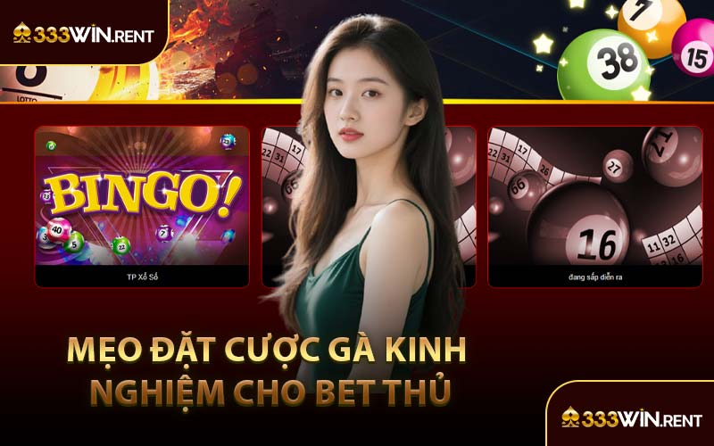 Mẹo Đặt Cược Gà Kinh Nghiệm Cho Bet Thủ